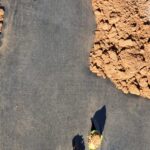 image00004 - Copy image00004 - Copy