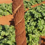 image00005 - Copy image00005 - Copy